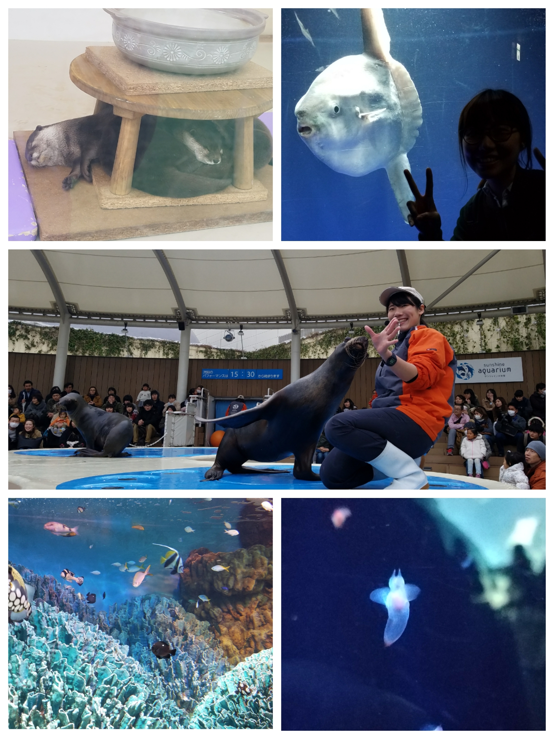 水族館