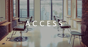 ACCESS